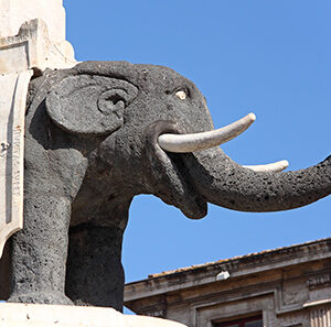 Catania_elefante